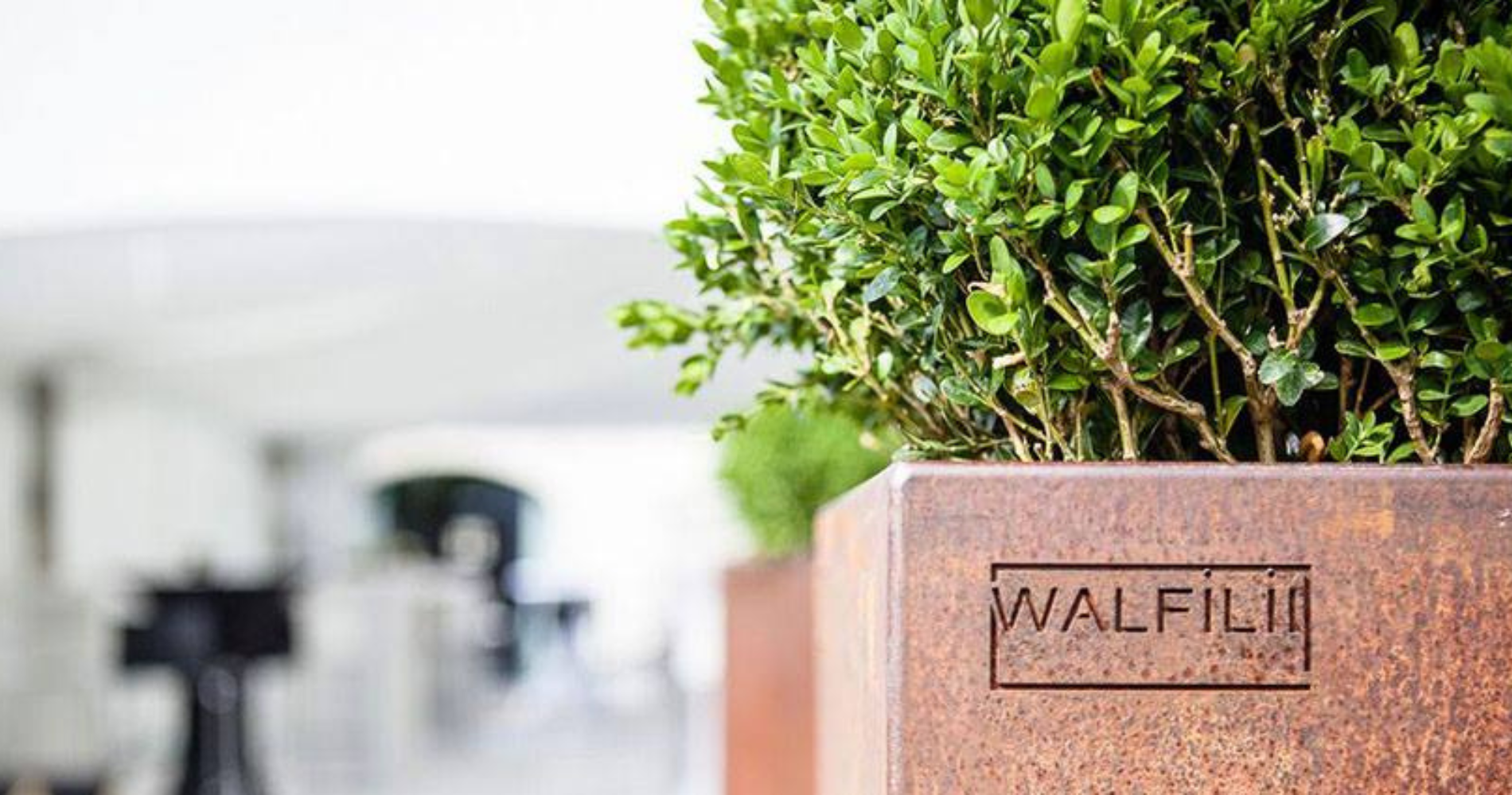 walfilii - meubili - plantenbakc